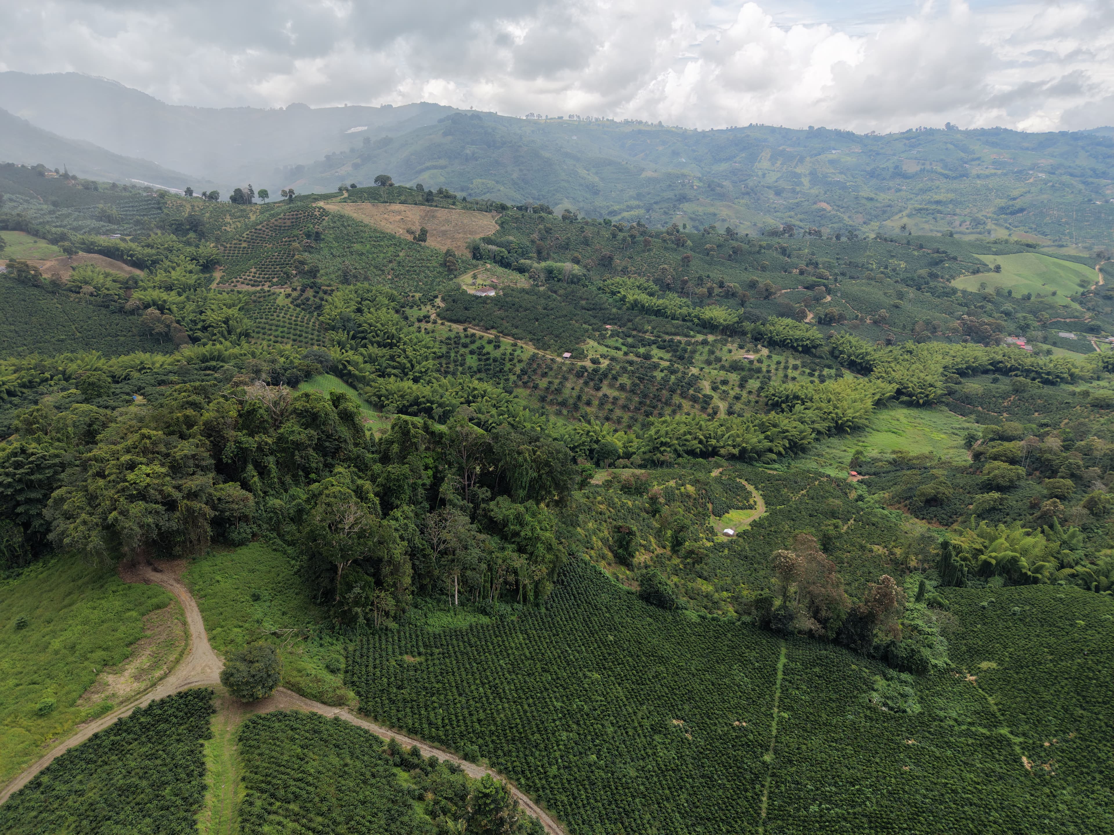 Coffee terroir landscape
